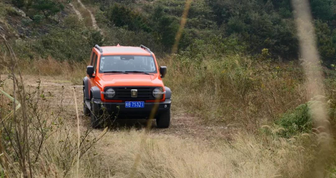 聊一聊坦克300真实用车感受,坦克300和400驾驶感受对比