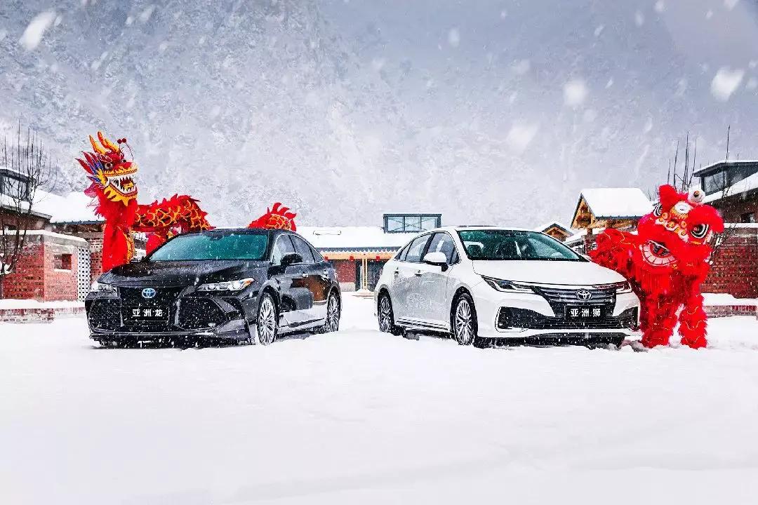 亚洲龙气势,亚洲狮五项全能