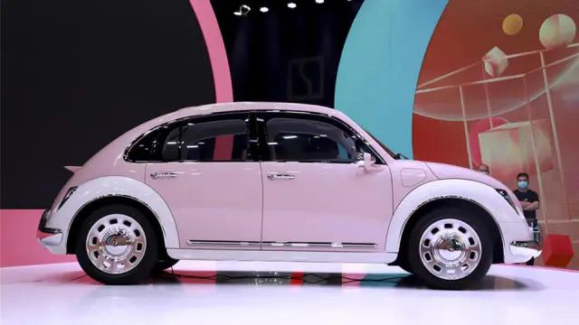 欧拉芭蕾猫全款多少钱,欧拉芭蕾猫落地价二手