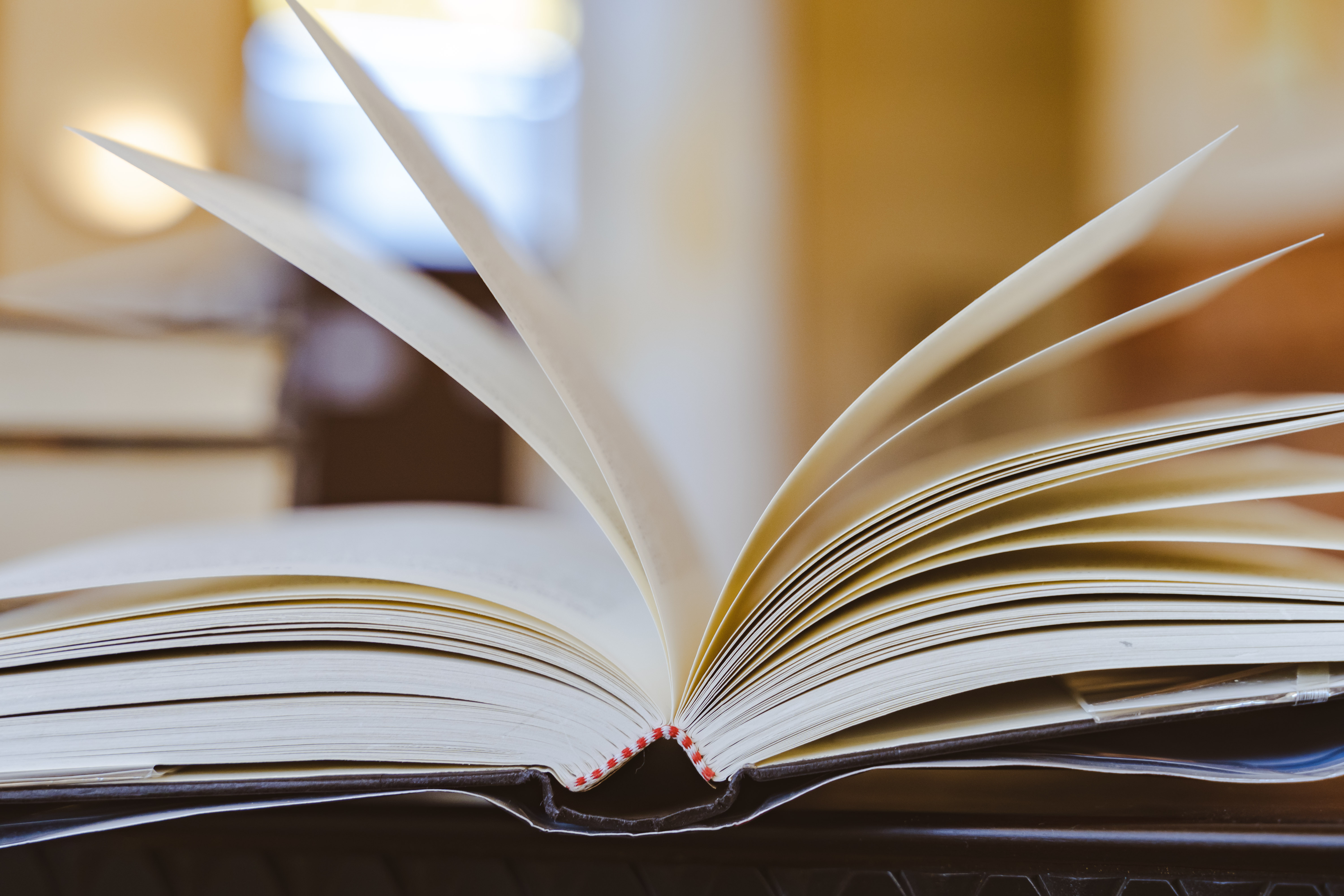 小说开局我便成功反杀,刚进游戏就遇到最终boss