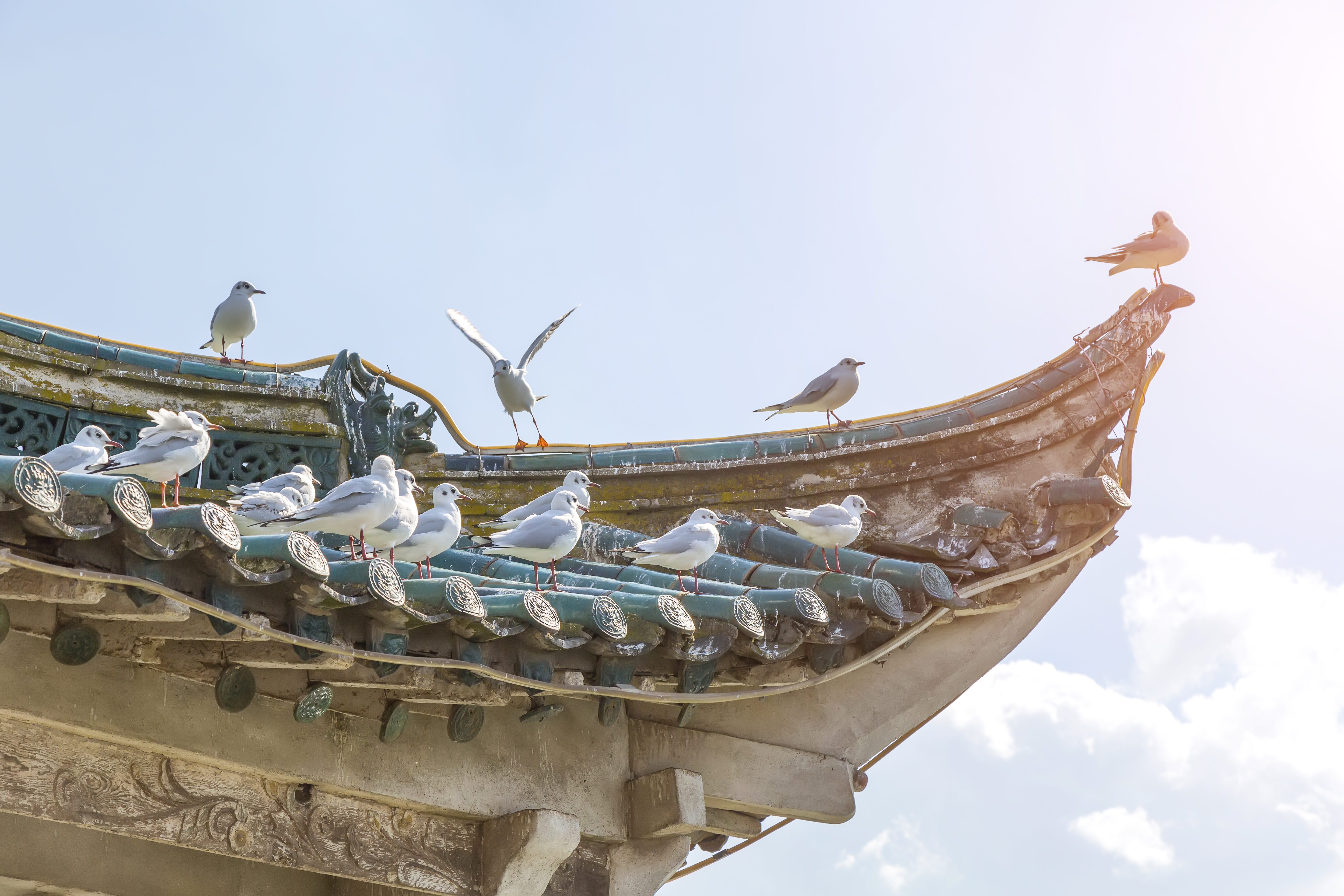 上海话优雅的用词,有意思的上海话词语