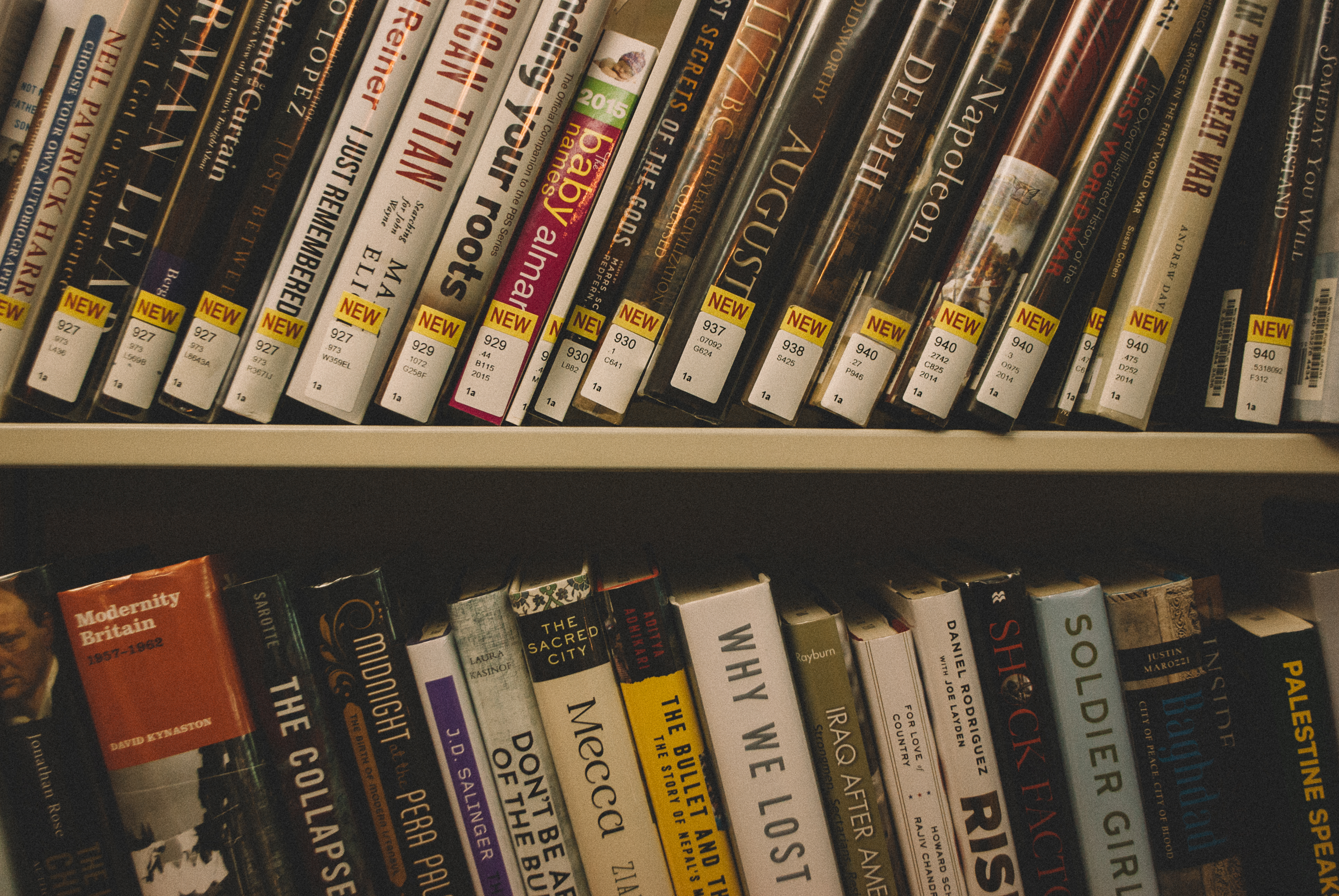 阿特伍德加拿大女王,加拿大文学女王