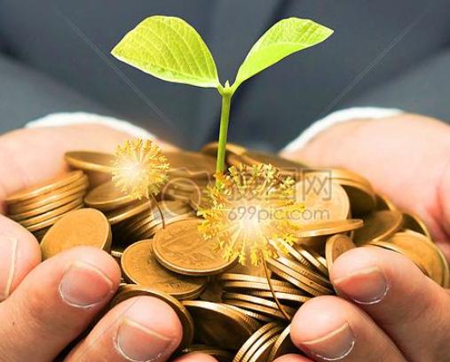 巴菲特炒股最看重市净率,巴菲特买股票要不要按市盈率来买