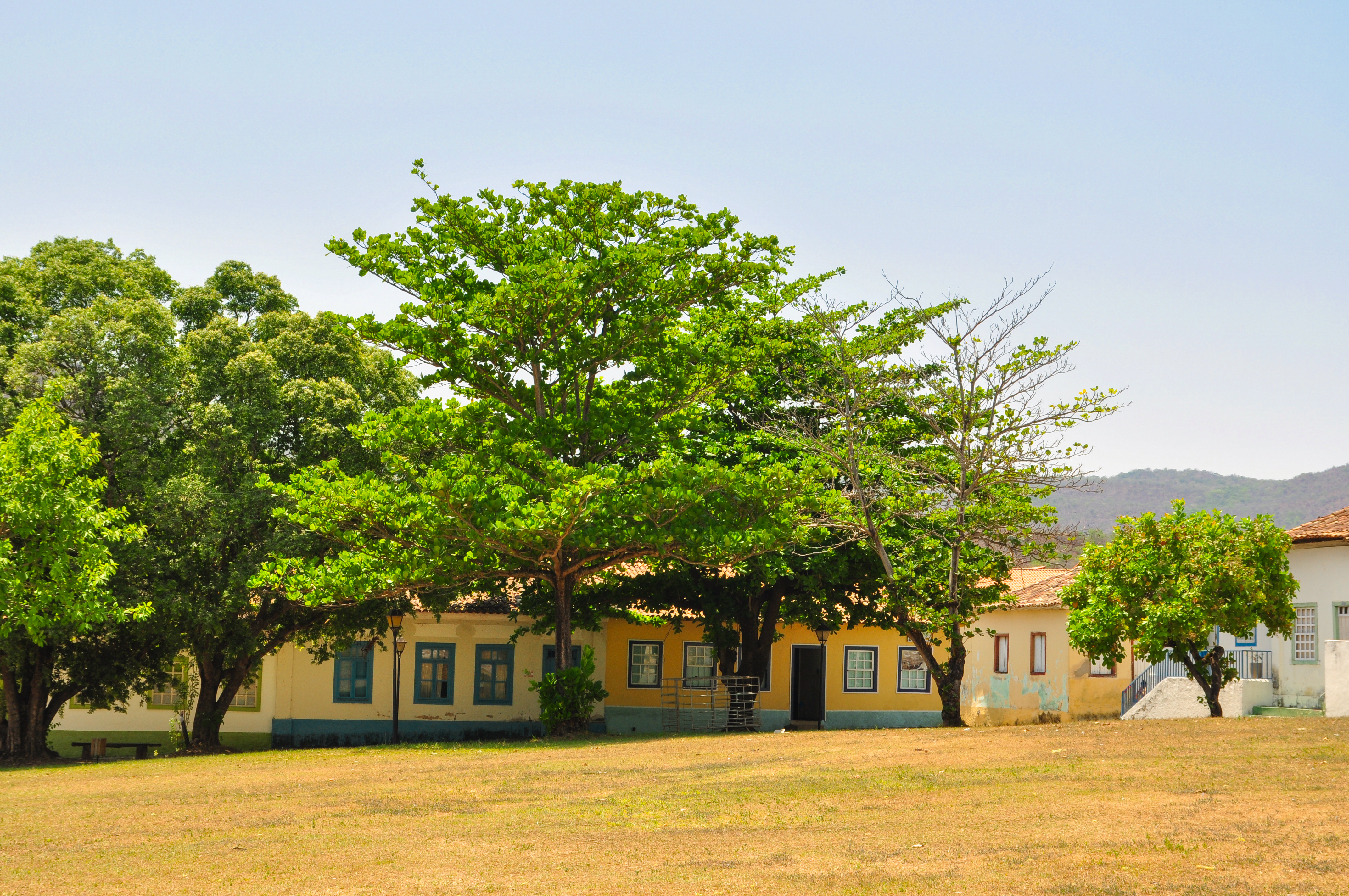 波拉尼奥杰作,波拉尼奥纪录片