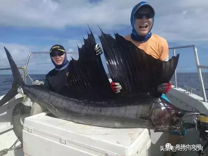 帕劳十大经典玩法,帕劳七大奇迹