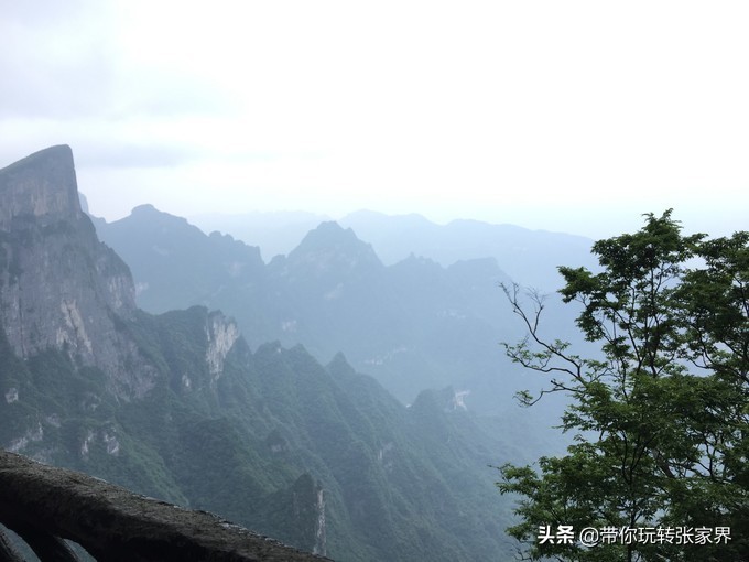 到张家界天门山自助游价格多少钱,武汉到张家界天门山三日游