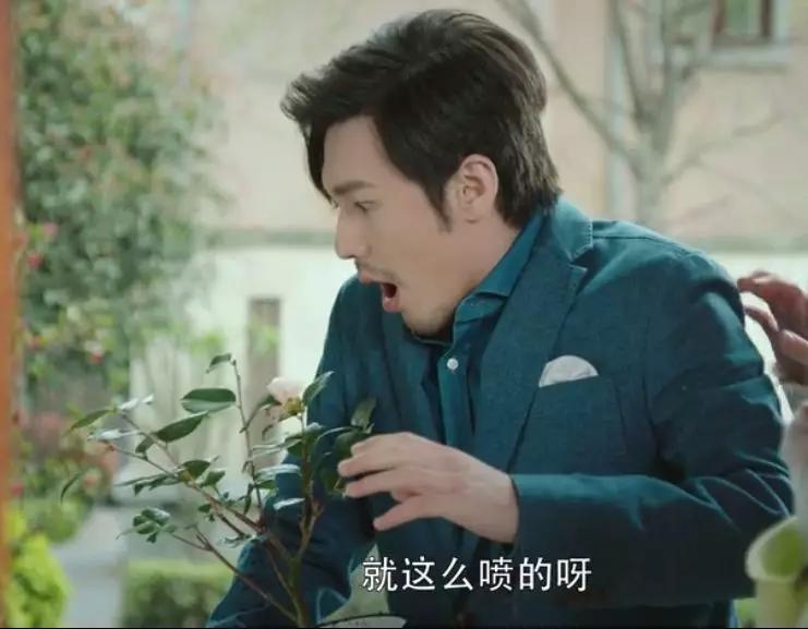 蓬莱间白起和林夏,蓬莱间白起和林夏进入紫弦幻境