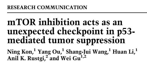 顾伟实验室解析p53抑癌功能的终极*器武**——铁死亡和mTOR