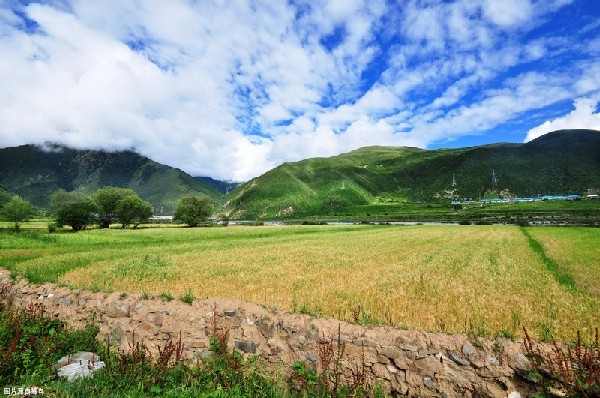 西藏特色藏食,西藏的藏餐究竟怎么样