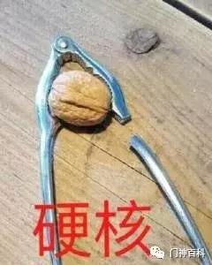 梗百科：硬核玩家登场！