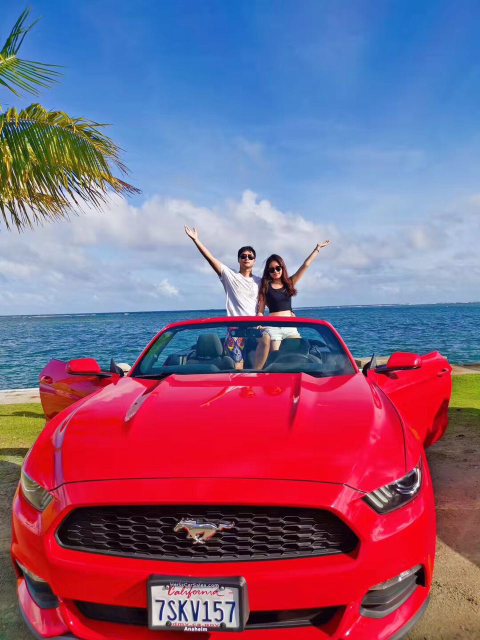 帕劳淡季旅游攻略大全,帕劳旅游攻略酒店推荐