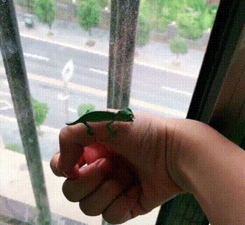 搞笑gif图原谅我不厚道的笑了,搞笑gif段子实在是猝不及防啊