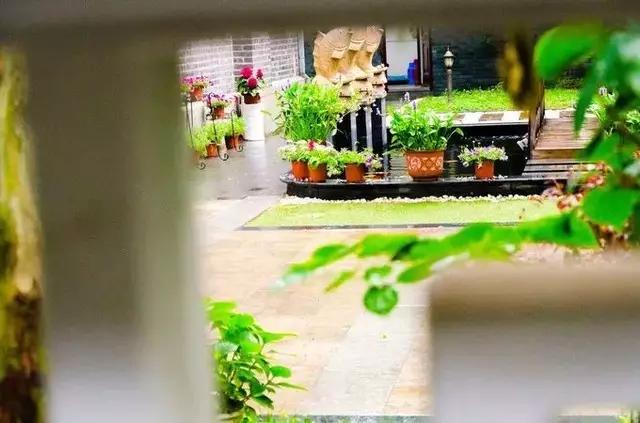 南京的春天,南京的春天视频