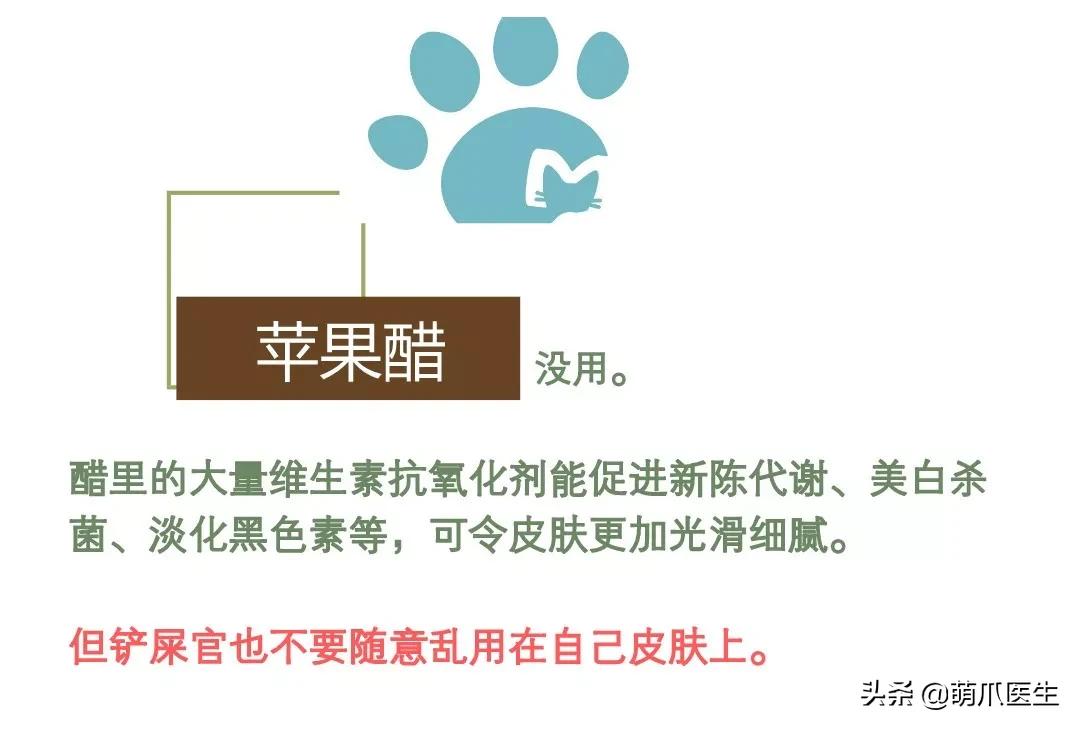 猫咪黑下巴毛囊炎的终极解决办法,猫咪有毛囊炎胡须还能长出来吗
