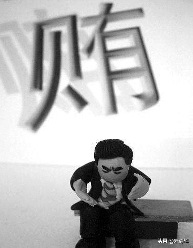 宋清辉炒作问题,宋清辉经济学家现状