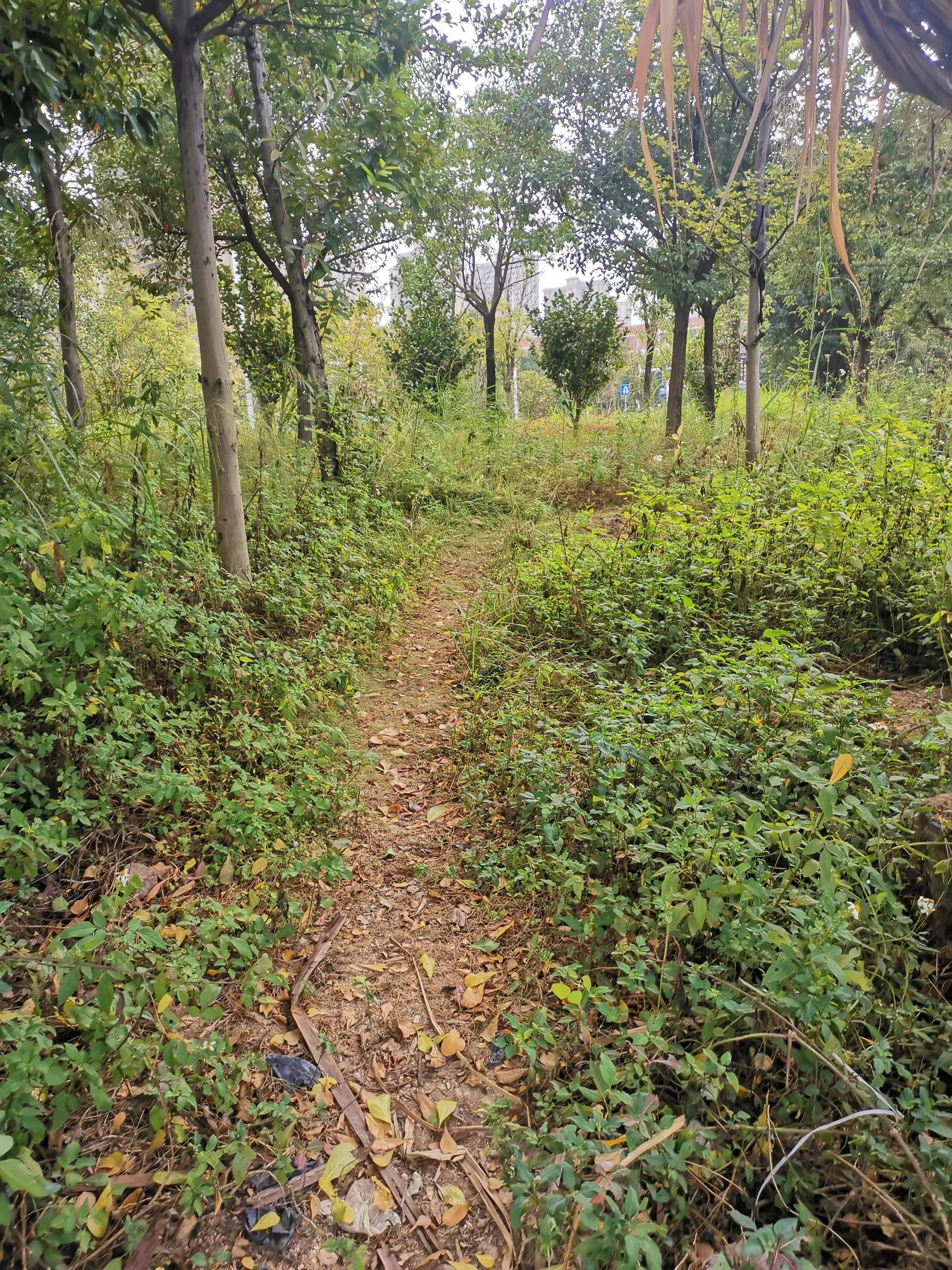 罗源滨海新城目前人口,罗源滨海新城多少亩地