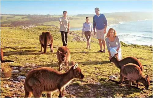 澳大利亚十大景点视频,澳大利亚十大景点介绍英文版