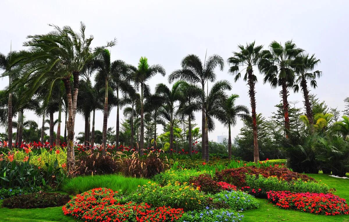 深圳海边最好的公园,深圳有几个靠海的公园