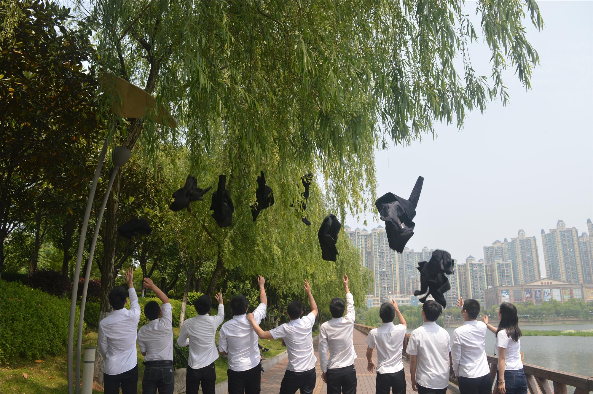 岳阳北大青鸟能学出什么来,岳阳北大青鸟大专