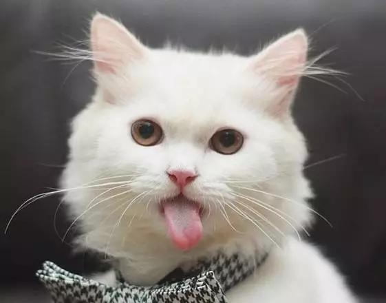 中医舌头看病有科学依据吗,为什么老中医看病要看舌头呢