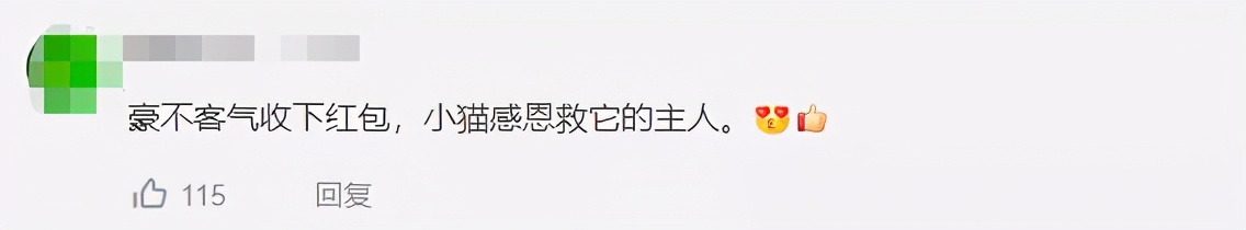 招财猫美国,招财猫可以招财