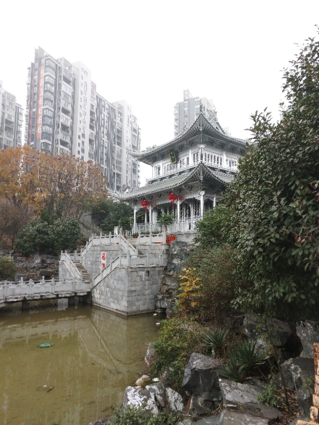 中国白银永兴银楼,永兴银楼中国银都直播卖货