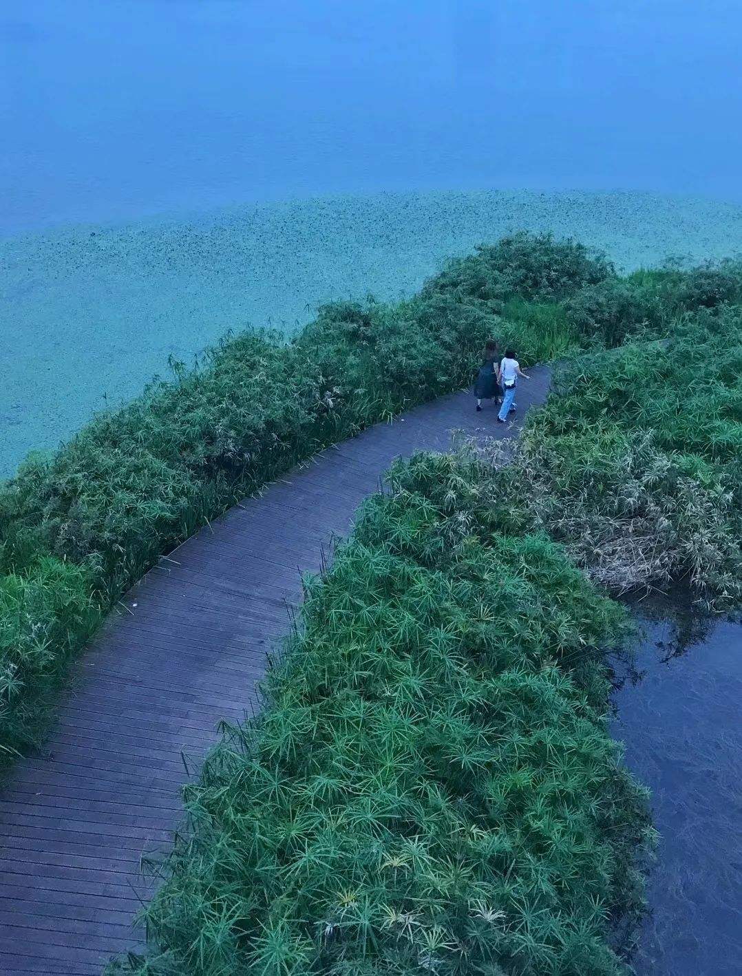 成都十大绿道旅游线路推荐,成都绿道最佳观赏地点
