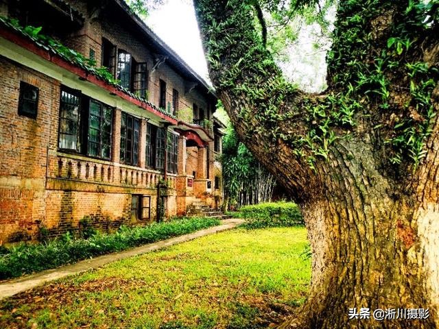 中国最美丽的校园照片,中国最美丽的校园中山大学南校区