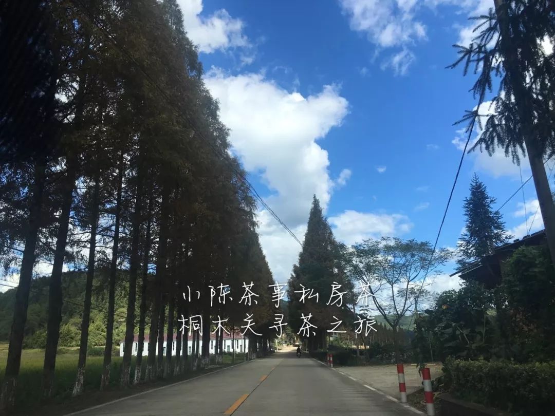 几年的红茶还能喝吗,20多年的红茶还能喝吗