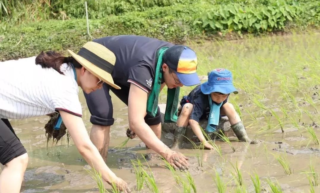 郭晶晶跳水皇后怎么来的,郭晶晶是如何成为跳水女皇的