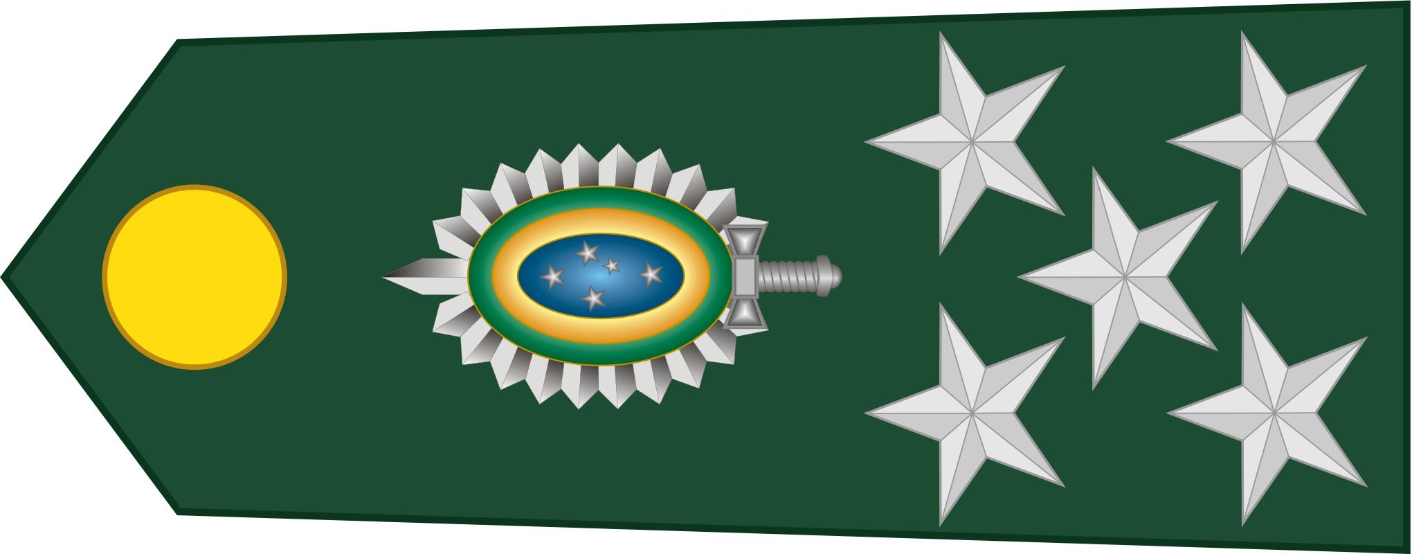 巴西军队标志,巴西海军军衔