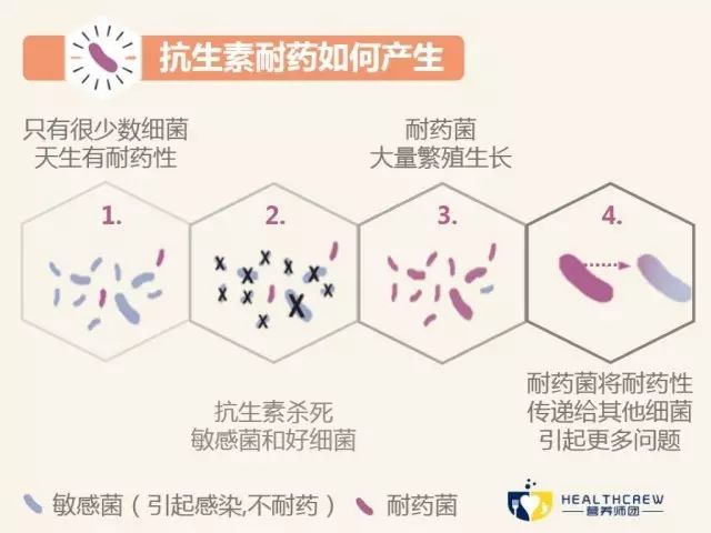 教你一招识别抗生素,初步认识抗生素的基本知识