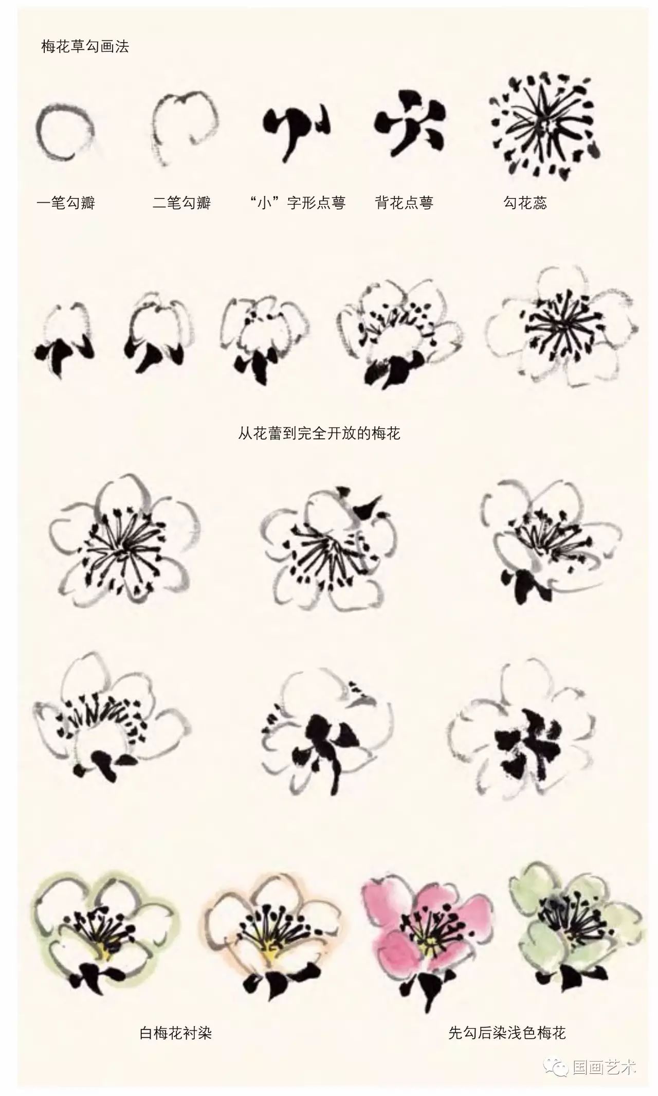 图文教程梅花,国画梅花的画法视频