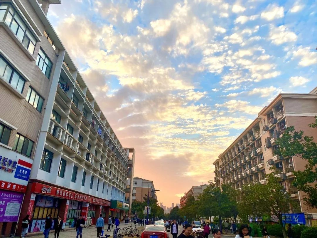 135编辑器的使用＃魅力云校园＃2020高校学分班