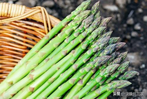 被誉为“蔬菜之王”，种1次收10年，售价8元1斤，为啥种的人少