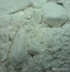 兽医脓疮,兽医治疗化脓