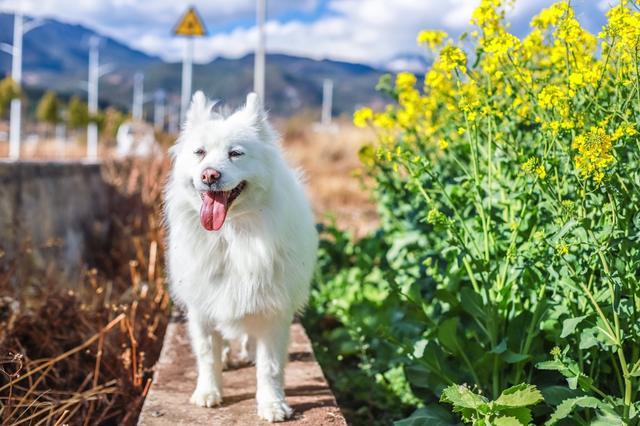大理不知名名宿,大理最不知名的海景民宿