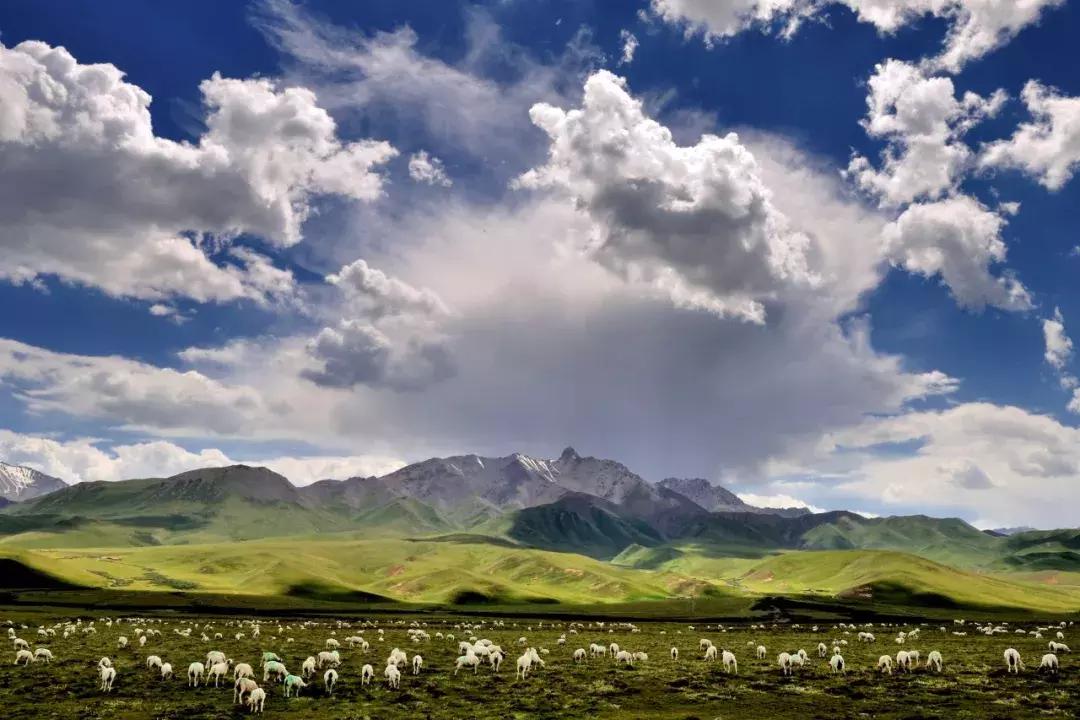 甘肃唯一一个与蒙古国接壤的地区,什么是甘肃独有民族