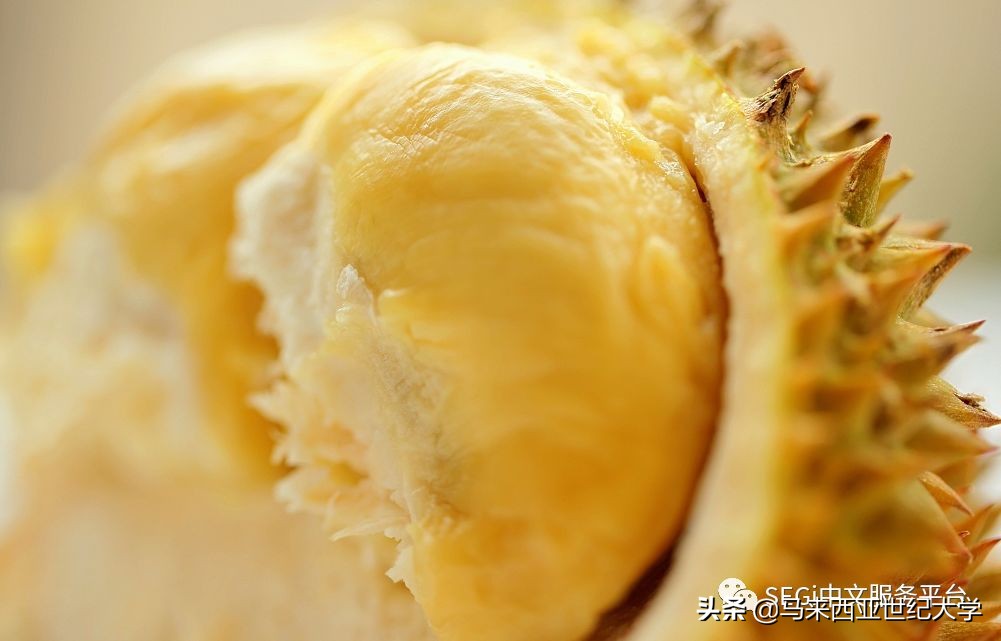 马来西亚榴莲品种大全,马来西亚d14榴莲是什么品种