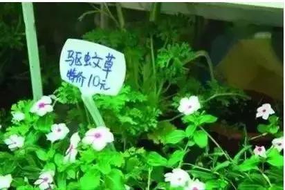 驱蚊止痒排行榜,驱蚊止痒真实测评