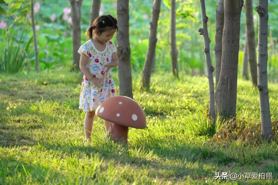 威海羊亭小区,威海羊亭露营