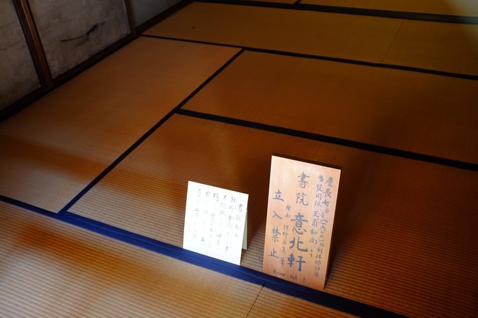 京都赏枫2022,京都赏枫必去景点有哪些好玩的