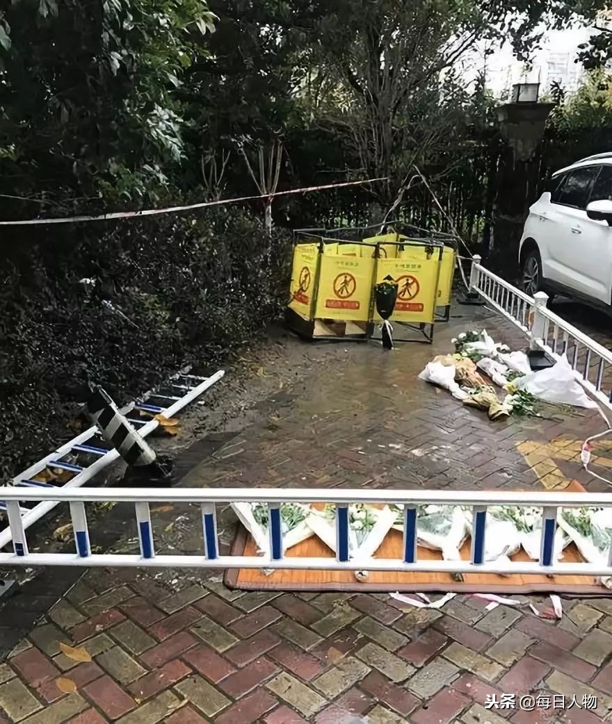 12岁男孩弑母案女孩讲述杀母过程,12岁男孩杀女童后续