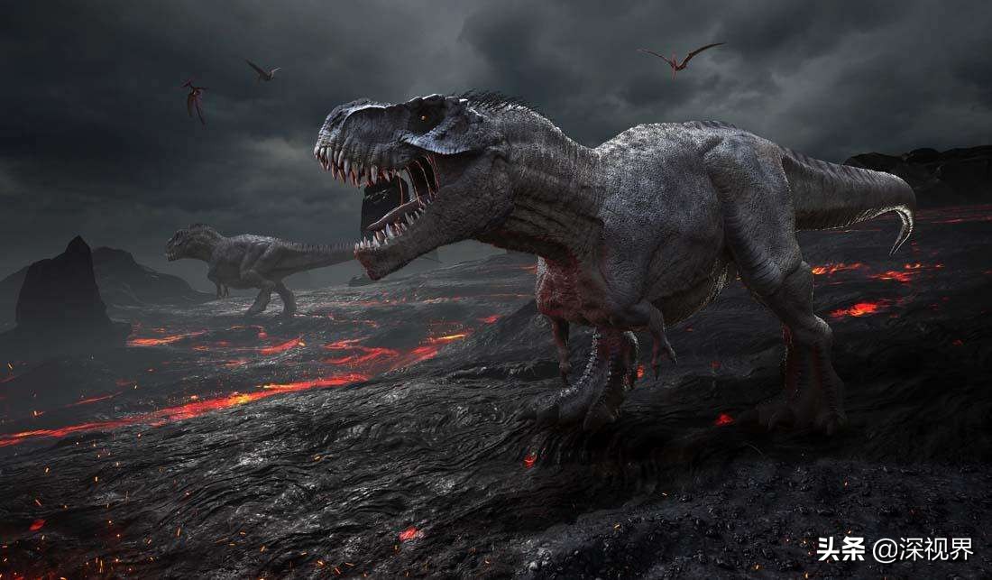 恐龙从几次大灭绝中活了下来,恐龙有没有灭绝只是进化成了鸟类