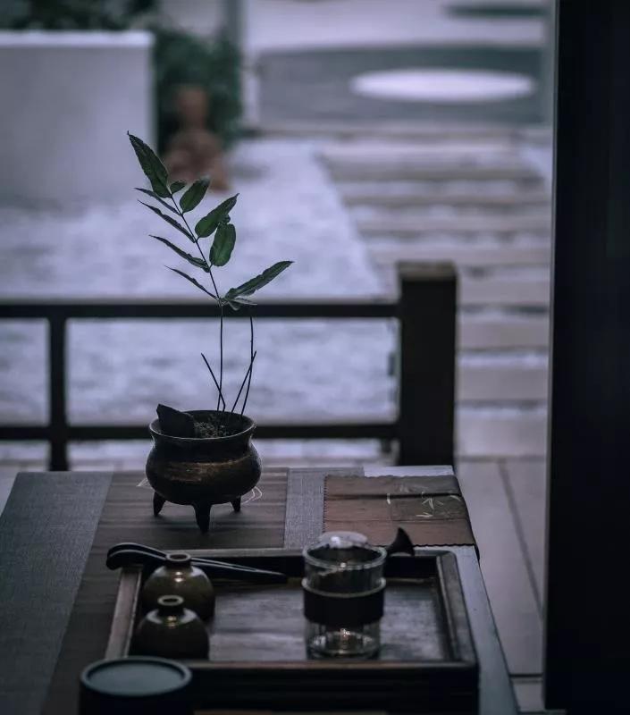 成都民宿推荐青城山,青城山花娟树屋民宿