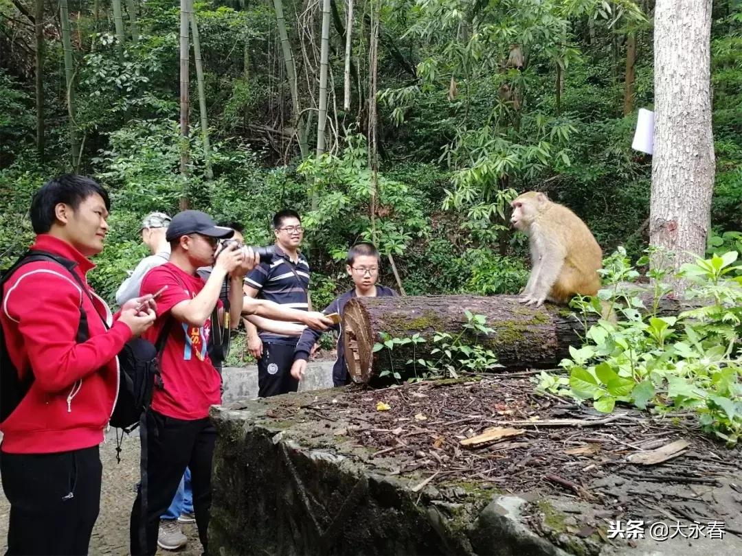 有一种生活叫永春湖洋,有一种生活叫永春夜景