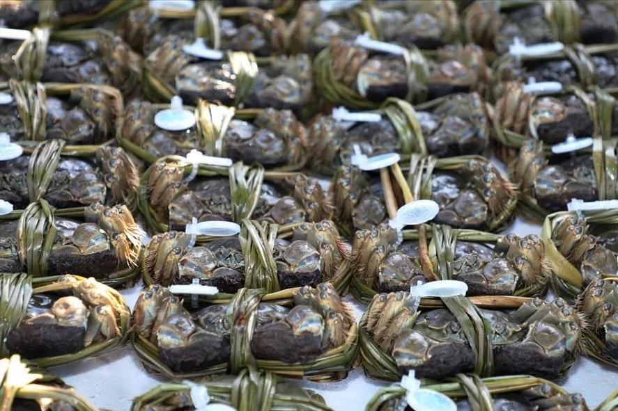 哪里的大闸蟹最正宗好吃,大闸蟹哪里的最正宗最好吃