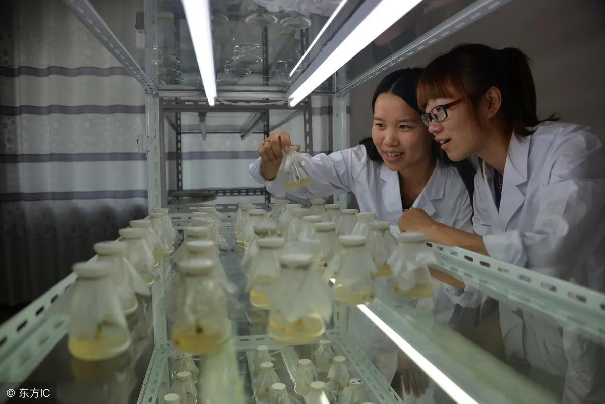 高分子材料是四大天坑专业吗,四大天坑专业现在就业前景怎么样