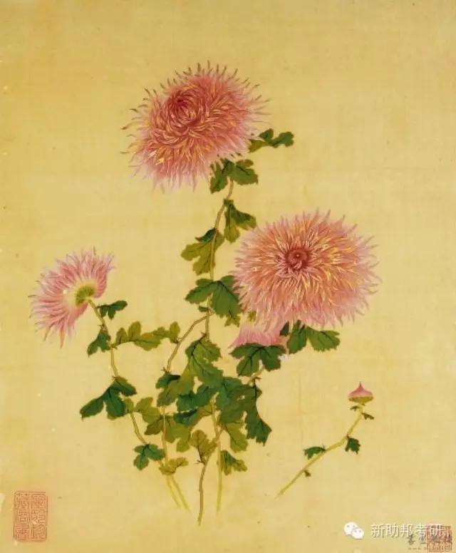 二本推荐的985考研大学及专业,二本考研985临床医学