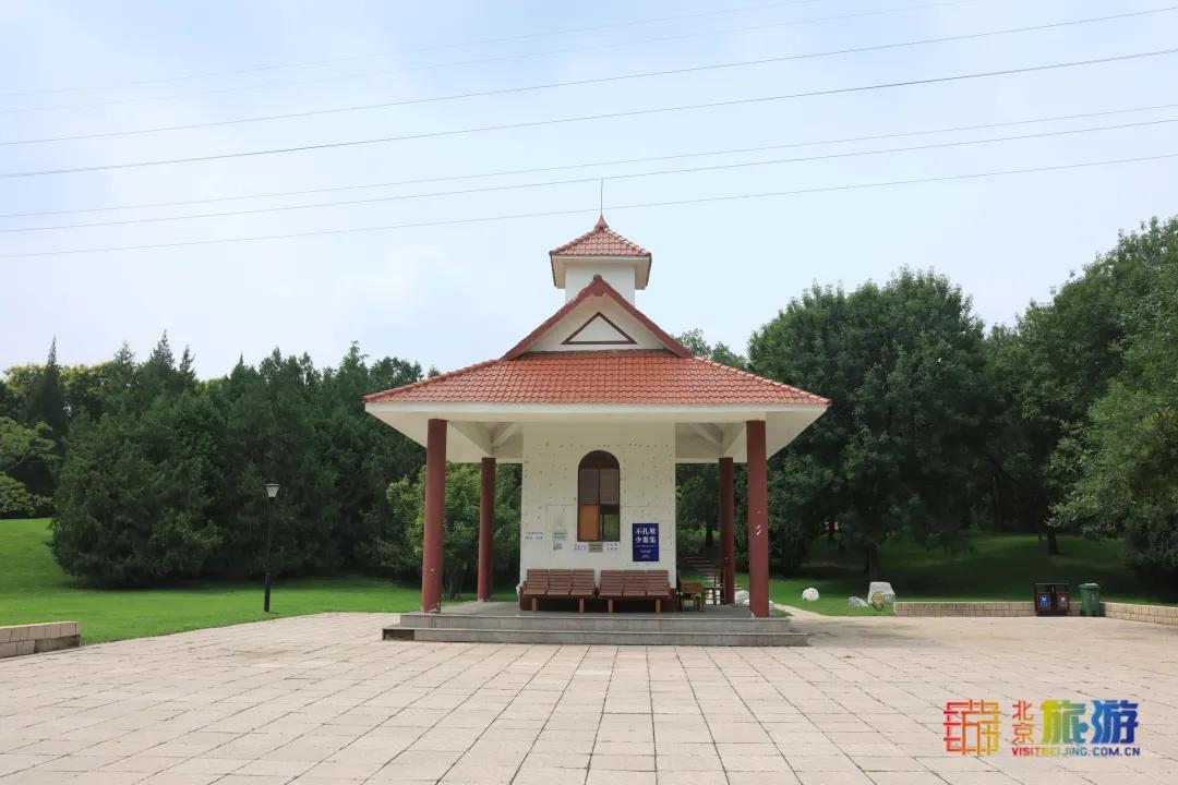 免费！市区就有“小森林”，花海芳香扑鼻！还有美好的祝福送给你